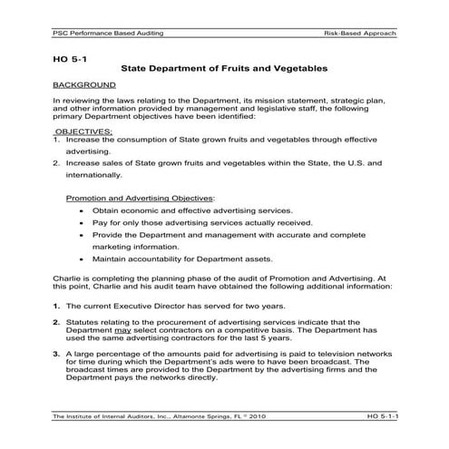 Performance audit case_study_(unit_5)