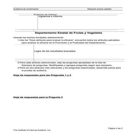 Performance audit case_study_(unit_6)_es