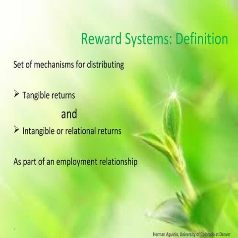 Performance decisions reward decisions