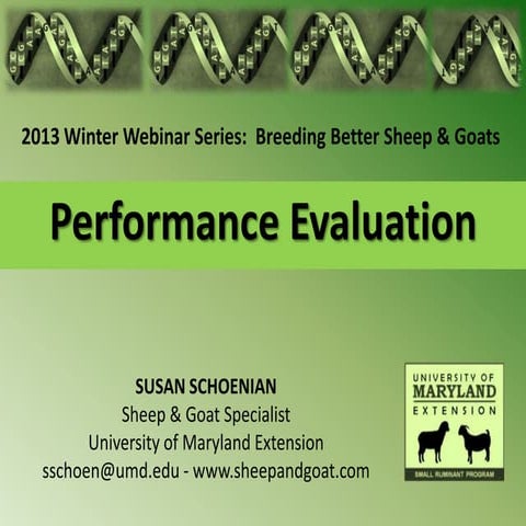 Performance evaluation