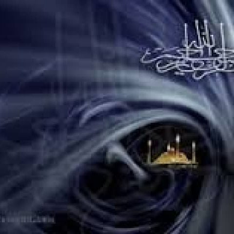 Performance management and learning.pptx