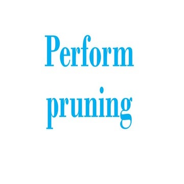 Perform Pruning in the Philippine Crops.pptx