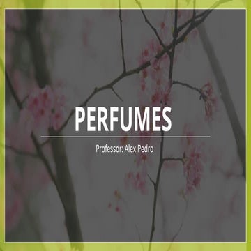 PERFUMES ELETIVA. slides para trabalhar perfumes nacional e importados