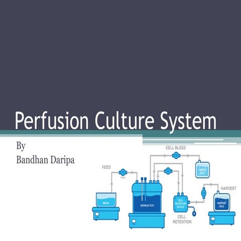 Bioprocess simulation | PPTX