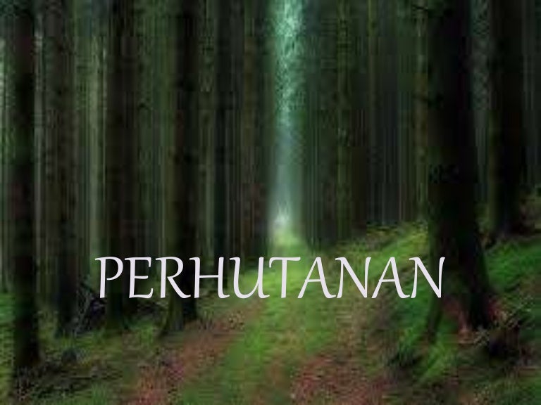 Perhutanan