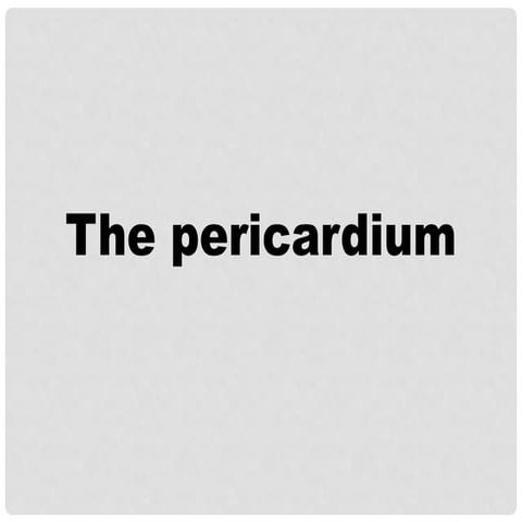 pericaduim anatomy pre - clinical (MBBS)