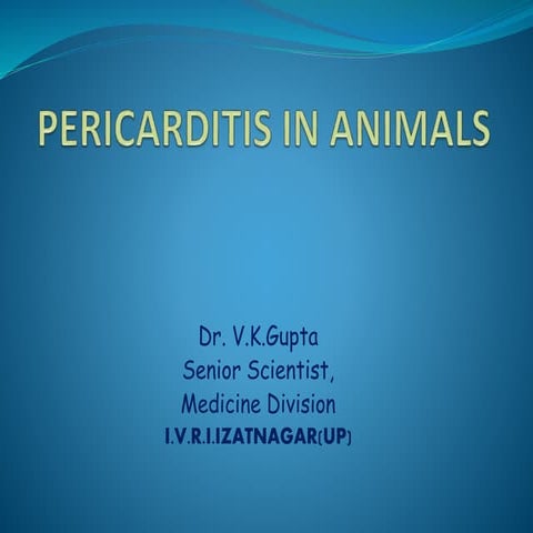 Pericarditis in animals