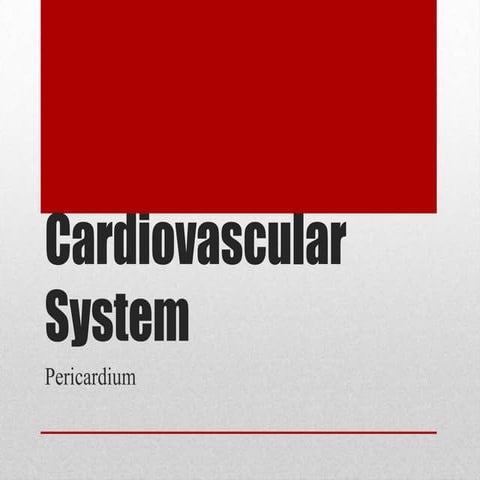 Pericardium