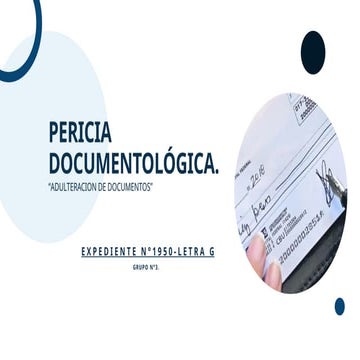 Forensic Document Examination: Detecting and Analyzing Check ...