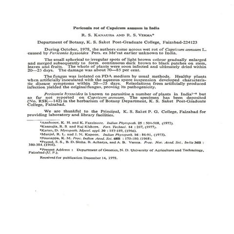 Periconia rot of capsicum annum in india