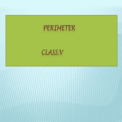 Perimeter