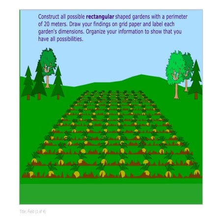 Perimeter | PDF