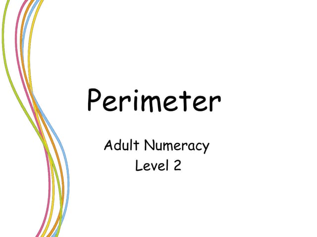 Perimeter 1