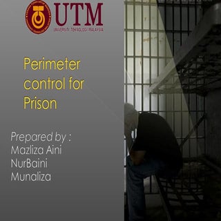 Perimeter control for prison