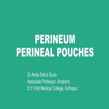 Perineal pouches & urogenital diaphragm