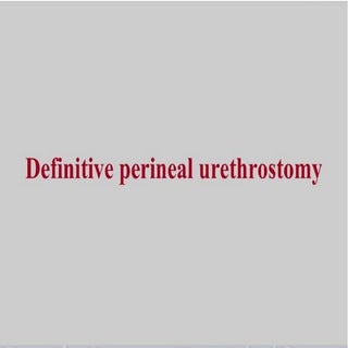 Perineal urethrostomy