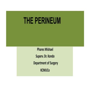 PERINEUM PRESENTATION.pptx