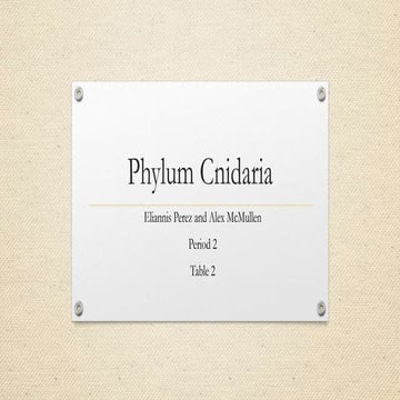 Period 2 (phyla) 2016