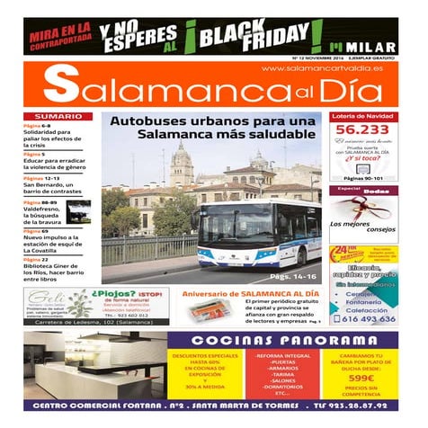 Periodico noviembre2016