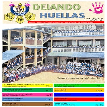 Periódico  Institucional 2017