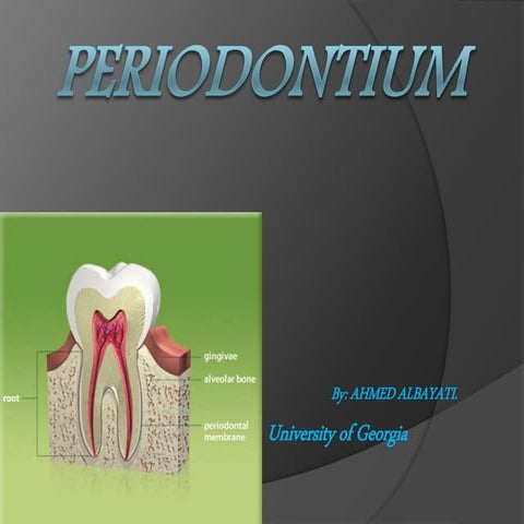 Periodontium 