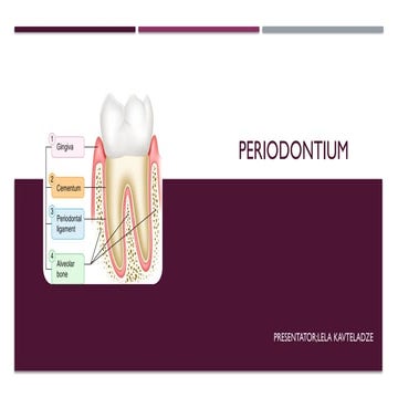 Periodontium.tooth.gingiva.hello.hiipptx