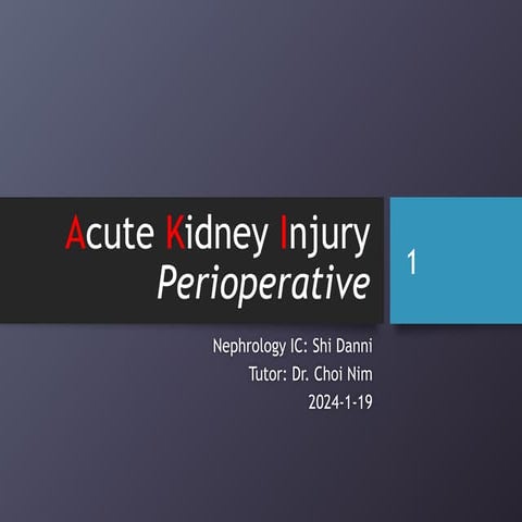 Perioperative AKI-Shi Danni-20240119.pptx