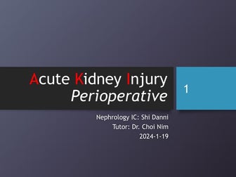 Perioperative AKI-Shi Danni-20240119.pptx