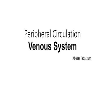 Peripheral circulation venous system