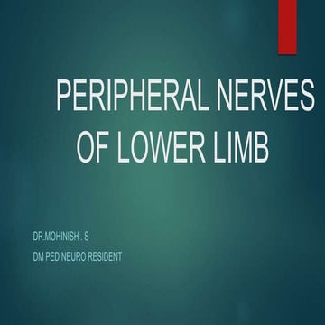 PERIPHERAL NERVE LL_105612.pptx