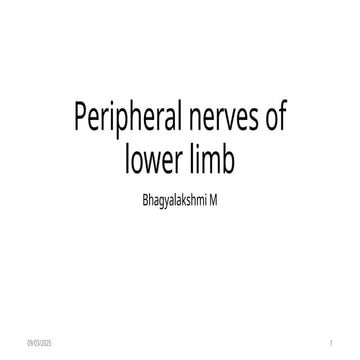 peripheral nerves of lower limb anatomy.pptx