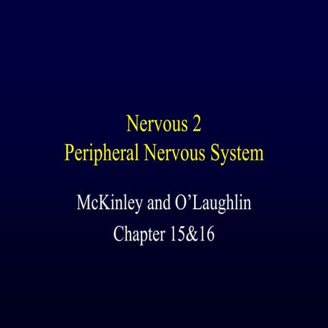 Peripheral Nervous System