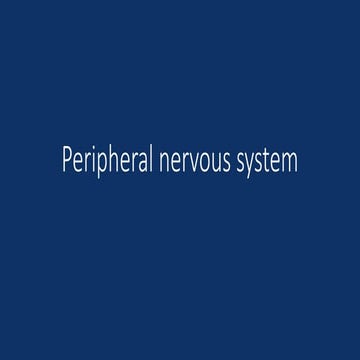 Peripheral nervous system.pptx by a student