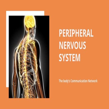 PERIPHERAL NERVOUS SYSTEM_20251215_043742_0000.pptx