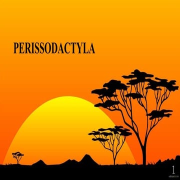 Order - Perissodactyla, wildlife Biology 
