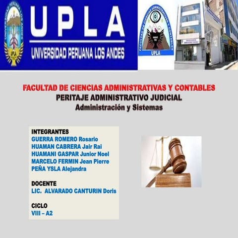 Peritaje vocabulario