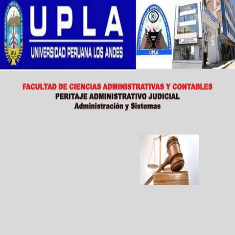 Peritaje vocabulario