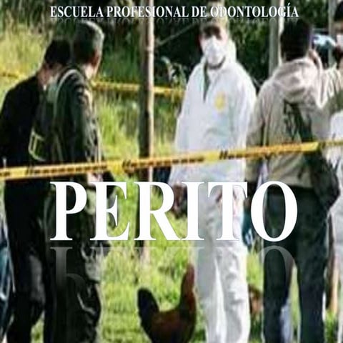 Prueba de pericial | PPTX
