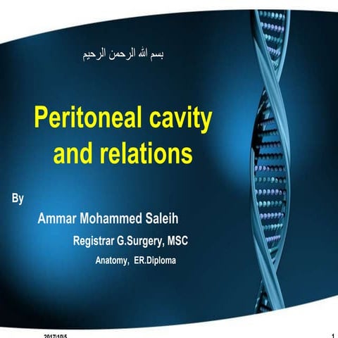 Peritoneal cavity and relations
