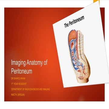 Peritoneum