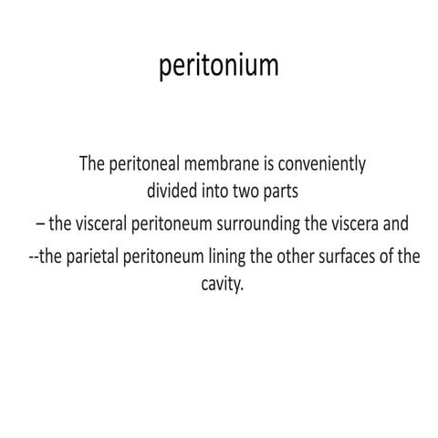 peritonium.pptx