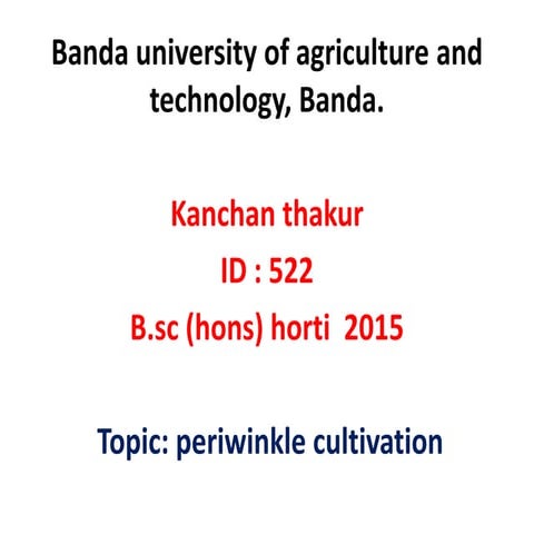 Periwinkle cultivation