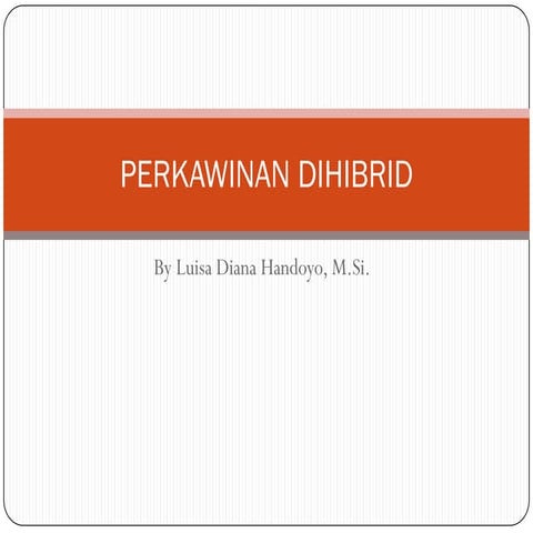 Perkawinan dihibrid