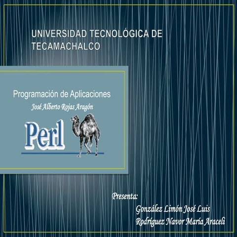 EXPO PERL UTT