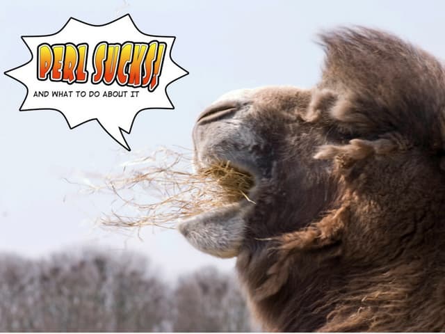 Perl Sucks - and what to do about it