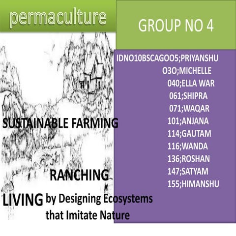 Permaculture group no 4