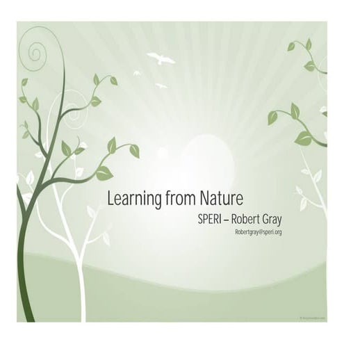 Learning from Nature