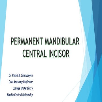 PERMANENT MANDIBULAR CENTRAL INCISOR