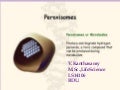 Peroxisomes