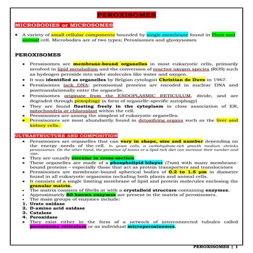 Peroxisome - Basics